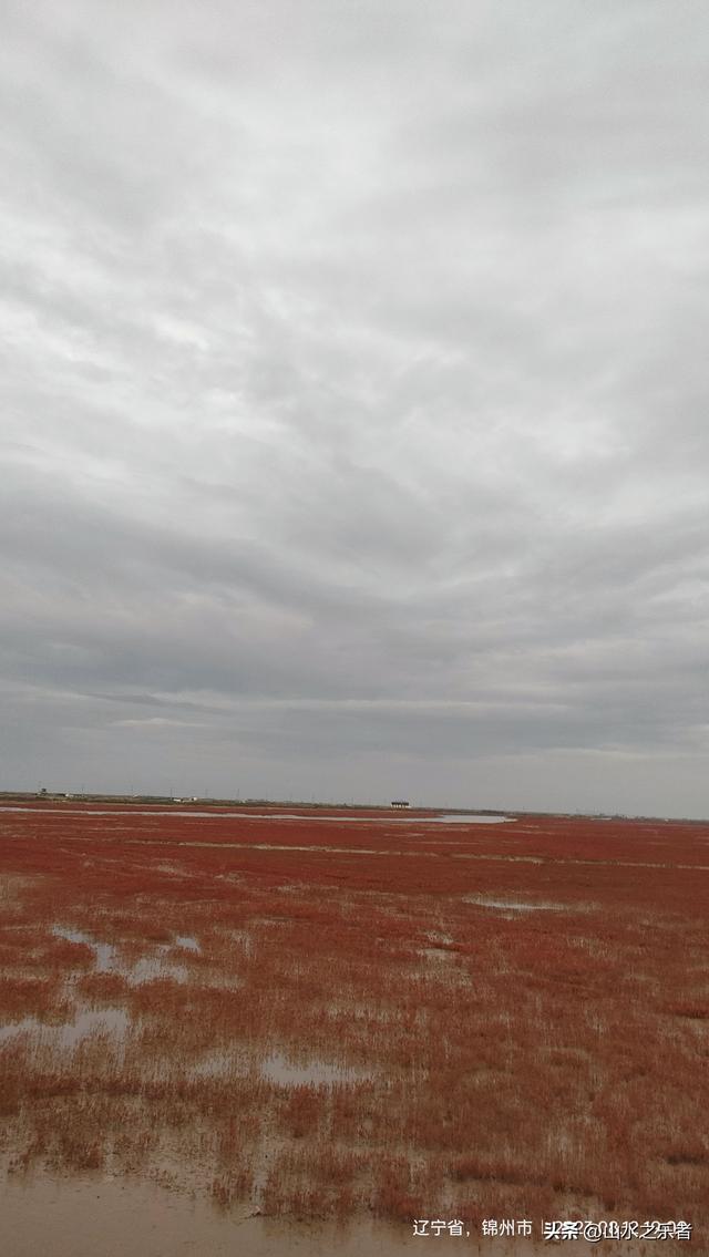 环游大东北之漫步锦州凌海红海滩