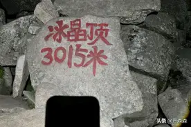 秦岭秘事之巨蟒图片