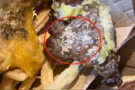 麦当劳汉堡吃出一堆虫 客人上吐下泻!网友:要疯了 起一身鸡皮疙瘩!图片