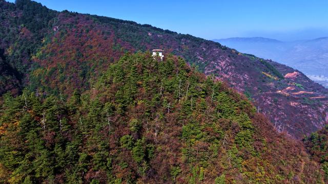 武山老君山森林公园：藏在陇中的秋日胜景