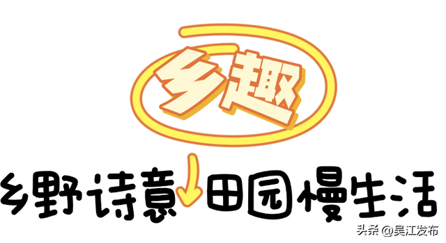 146.19万人次！欢聚吴江，超尽兴！