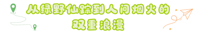 跟着小红书博主打卡黄山，拍出人生照片！| 皖美夏日