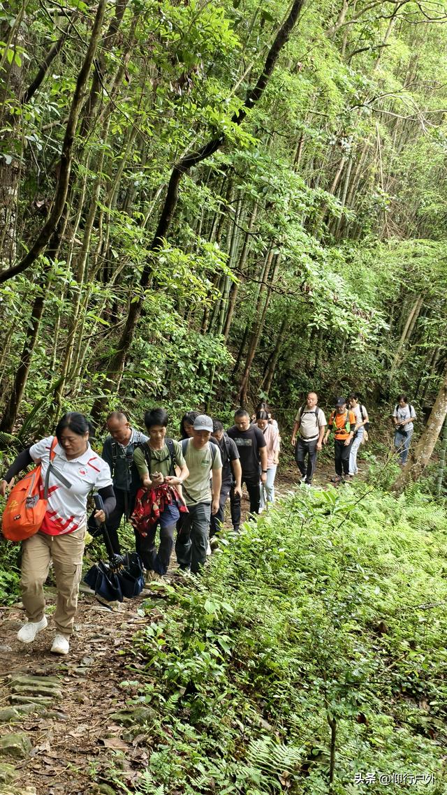 丰顺丰良客潮古驿道 丰良斜塔徒步