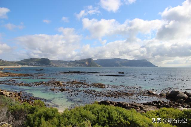 南部非洲：南非开普敦企鹅岛