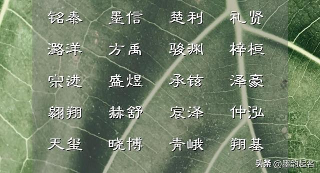 宝宝起名：结合字形字音，起个平仄和谐的女宝宝名字，个个独特