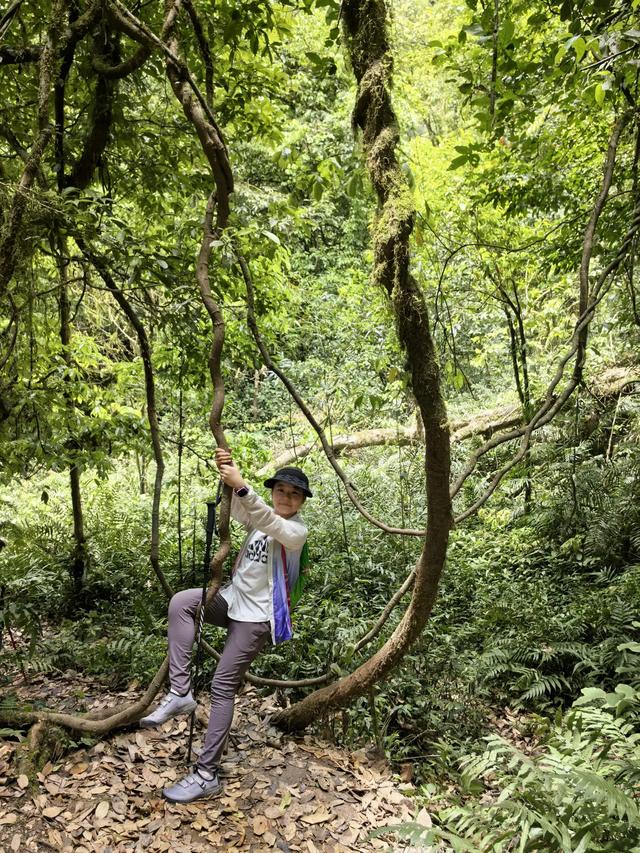 带小朋友去贵州茂兰,连环探洞加漏斗原始森林徒步二日游全攻略!