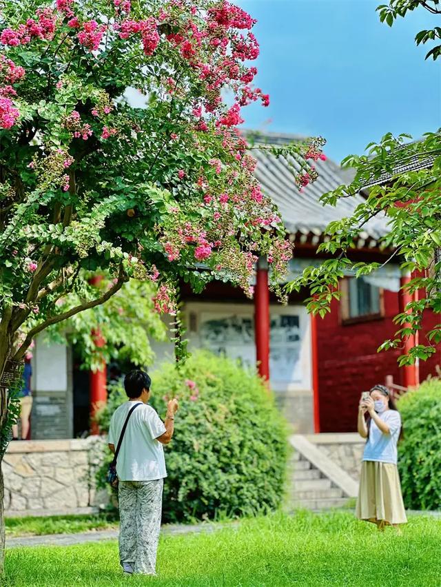 雨霁岱庙景如画 游人畅享清凉意