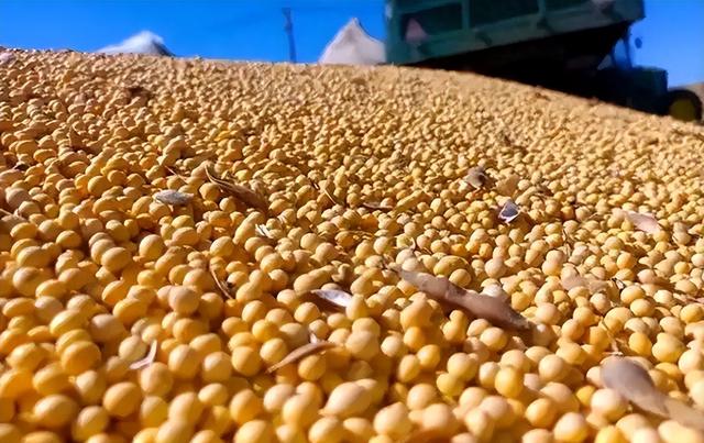 贪心砸了饭碗？巴西硬抬价	，中国 130 万吨大豆订单瞬间流向阿根廷