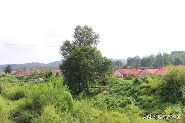 组图：牟平观水镇留格庄村掠影，桃威铁路从该村经过
