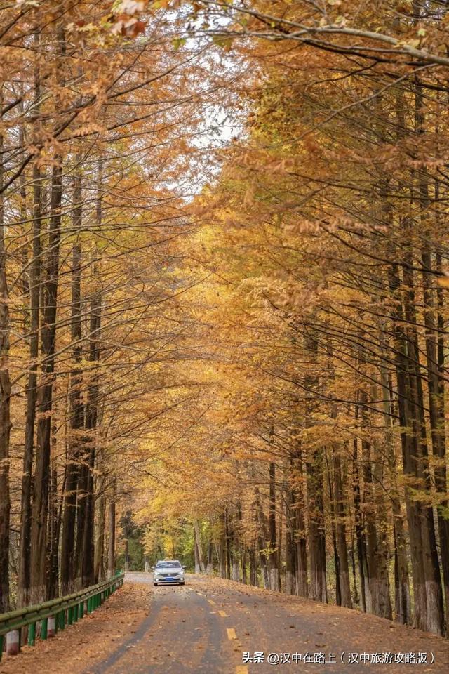 全国十佳!汉中这条公路太火了!