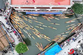 就在“五一”！叠滘单人龙艇赛正式开启报名，“龙船漂移季”火热来袭图片