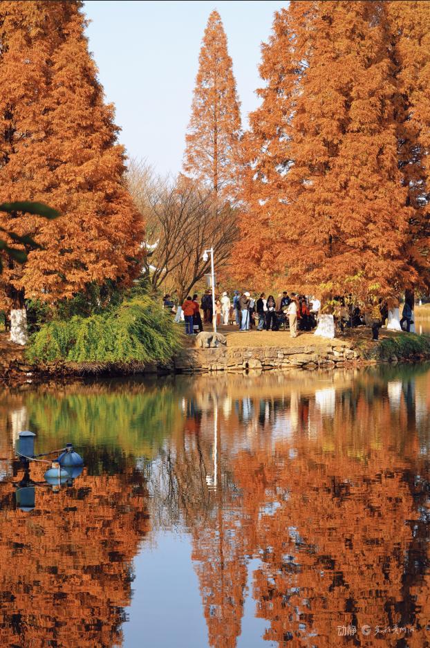 冬日暖阳下，打卡贵阳观山湖公园的绝美风景