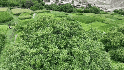 甲子西藏・文旅新章|迷人！太迷人了！大自然的眼影盘掉落在澜沧江畔！