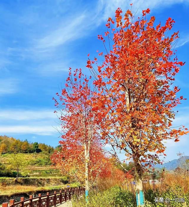 江南香山——天台·南黄古道