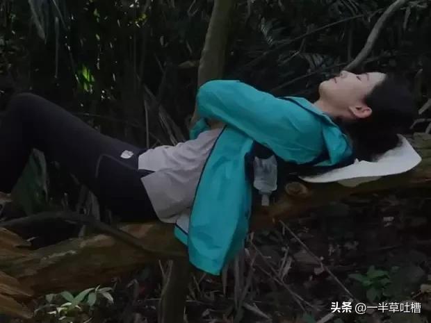 卢昱晓穿冲锋衣在雨林徒步 躺在树枝上睡觉松弛鲜活