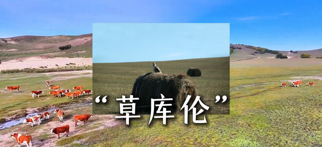 千年沙地今何在？毛乌素，中国第一个即将消失的沙地