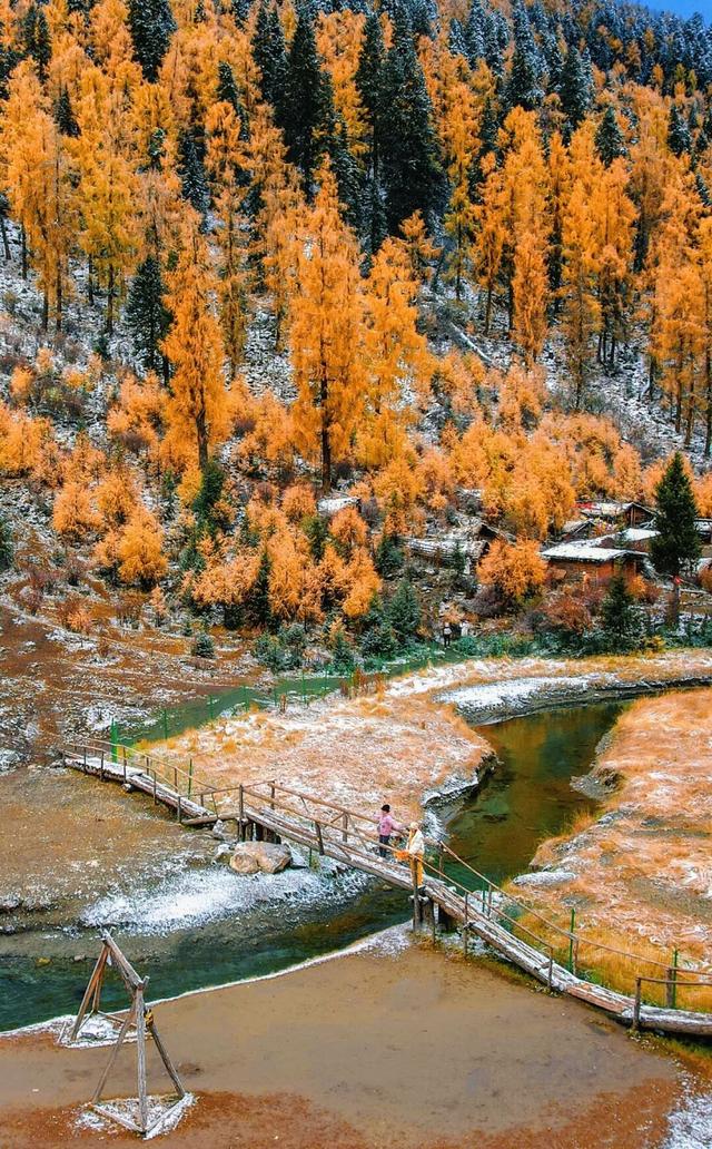 今年理县红叶开挂了！红得惊动天地，美到不可方物