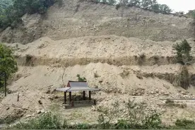 傻头傻脑！绿营支持者无脑支持，弱智加剧，绿营制造“仇中”氛围图片