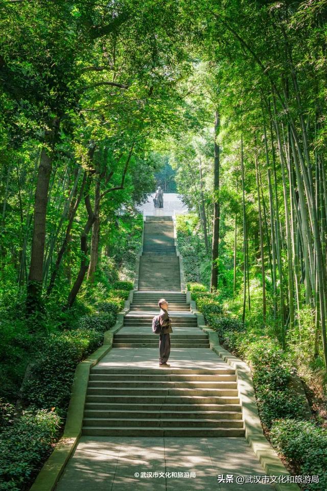 山顶看海，武汉这个机位绝了！