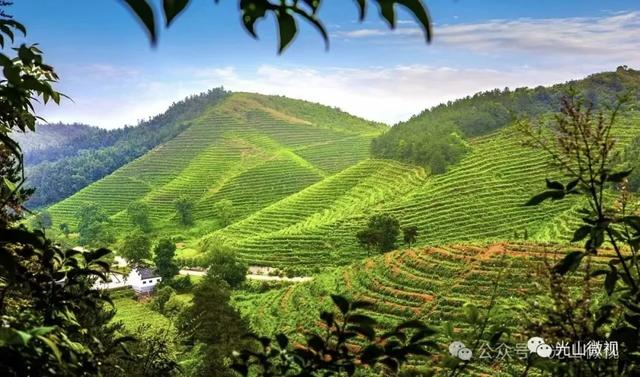 光山“福牛杯”路亚赛将启，人文自然任体验