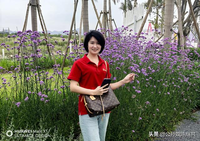 游览漳州开发区，临港新城风华起，双鱼岛上观景奇：留束剪影集！