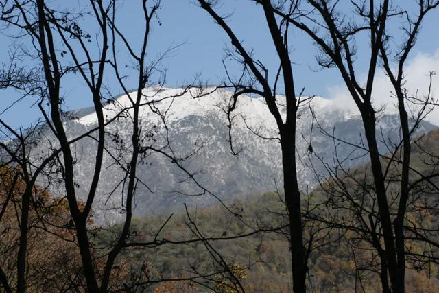 汉中各大景区银装素裹!快来共赴2025年第一场冰雪之约 →