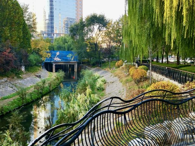 「京城水脉·夏日亲水地图系列报道」莲花河:千年水脉的都市新生