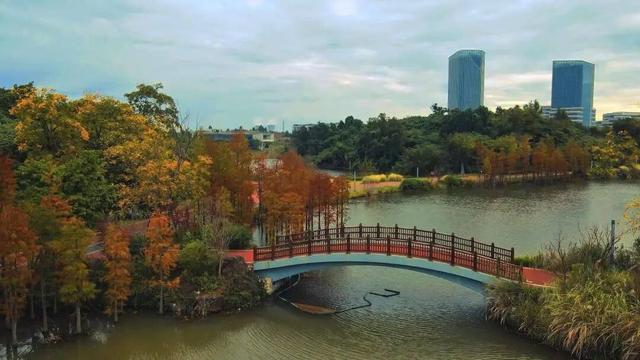 哇！金堂这里漂亮得不得了