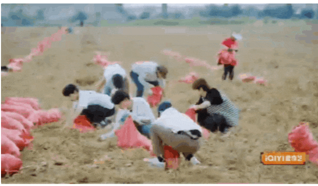 十个勤天，你们怎么也来乌兰察布挖土豆啦？