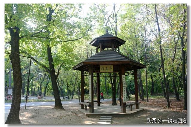 沈阳东陵郊野公园“精灵”出没