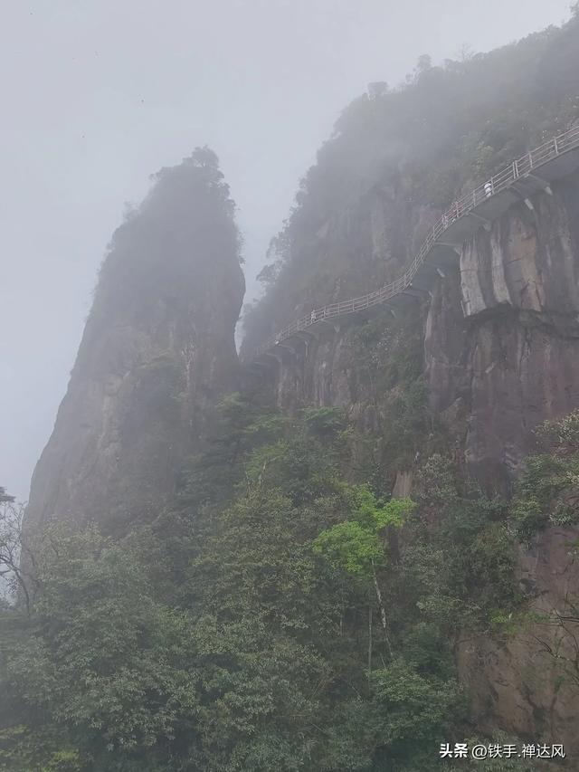 2025湖南行：仙气飘飘～莽山五指峰