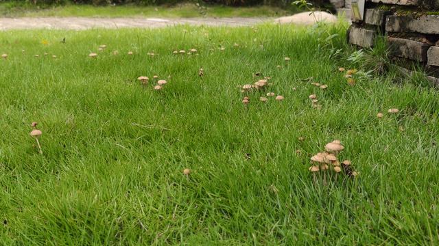 带你去看看，梅州的五星民宿，又见•钧质楼围龙屋