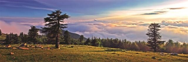 城乡欢歌庆“两节” 文旅赋能润交城