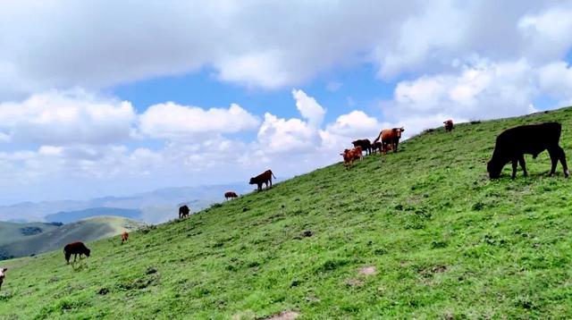 在白松坝，停驻于岁月漫溯山河的刹那