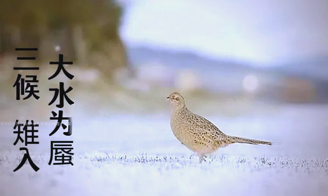 “上午立冬大雪封门	，下午立冬单衣过冬	”，今年立冬是什么时候？