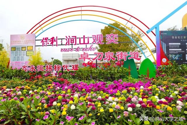 武汉洪山区第38届金秋菊展华美启幕