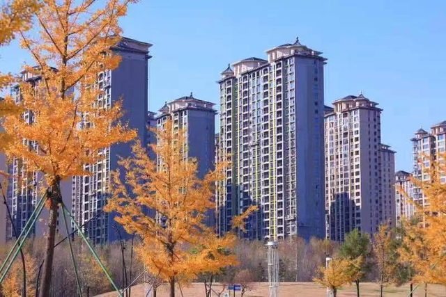 秋景如画！沈阳赏秋地图发布→