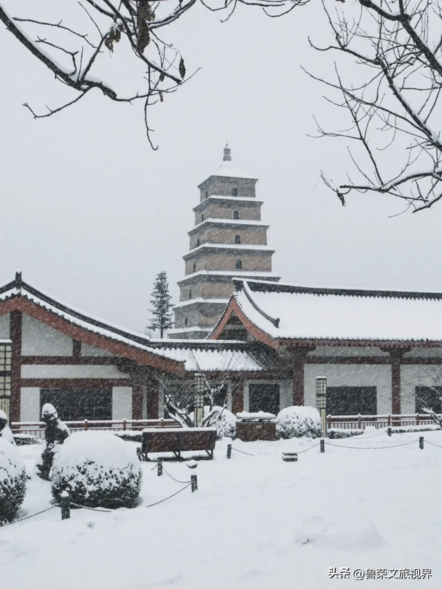 2025第一场雪赴长安：西安变回长安的素白之约