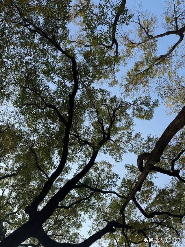 【京城寺记】香山卧佛寺