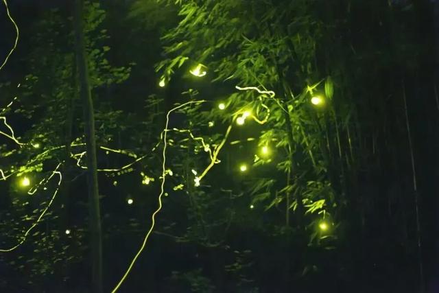 德阳，从古蜀之源走来