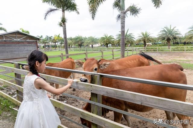 四川研学放大招！三年规划冲刺百亿产业，跟着课本游天府机会来了