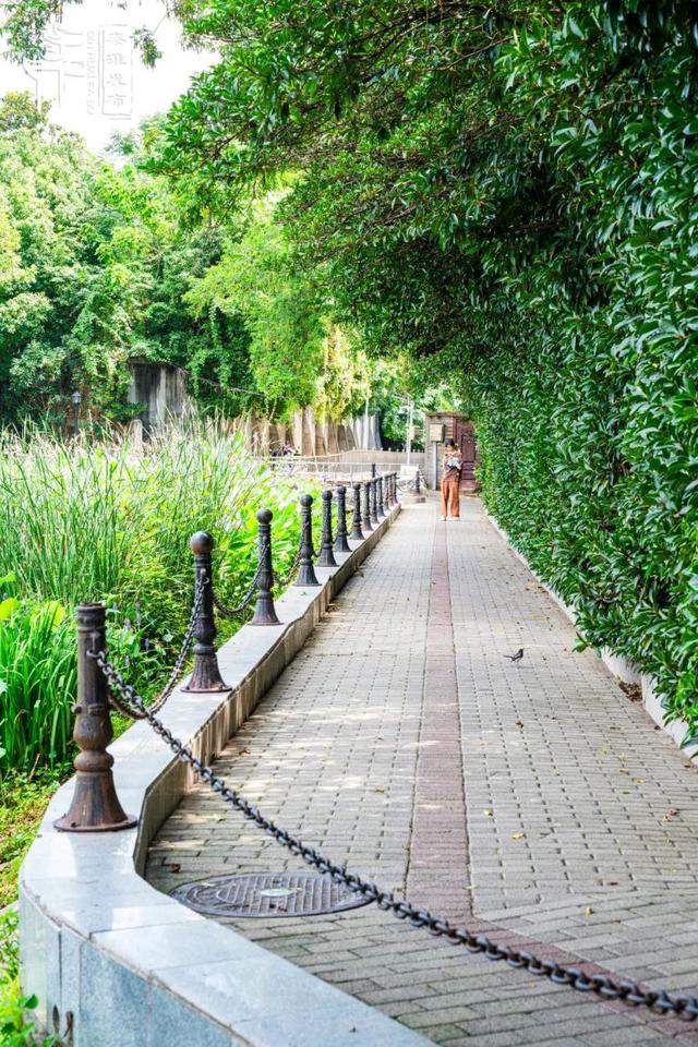秦淮citywalk｜夏日寻凉之月牙湖