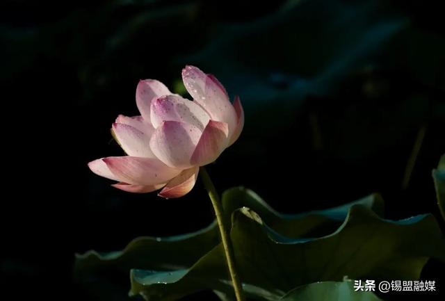 出片率100%！就在锡林浩特，赶紧安排→