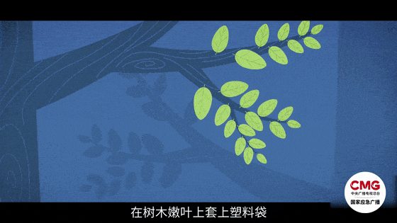 迷路看影子也能辨方向，登山安全指南→