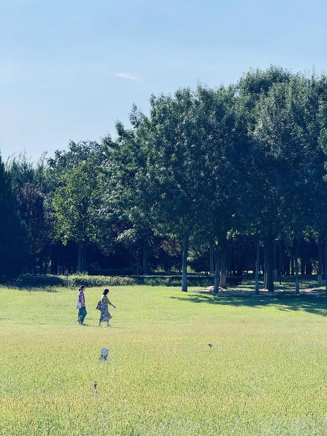 这片大草坪，藏着看飞机的独有浪漫