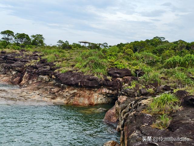 马来西亚(35)砂拉越州⑨峇哥国家公园徒步线路