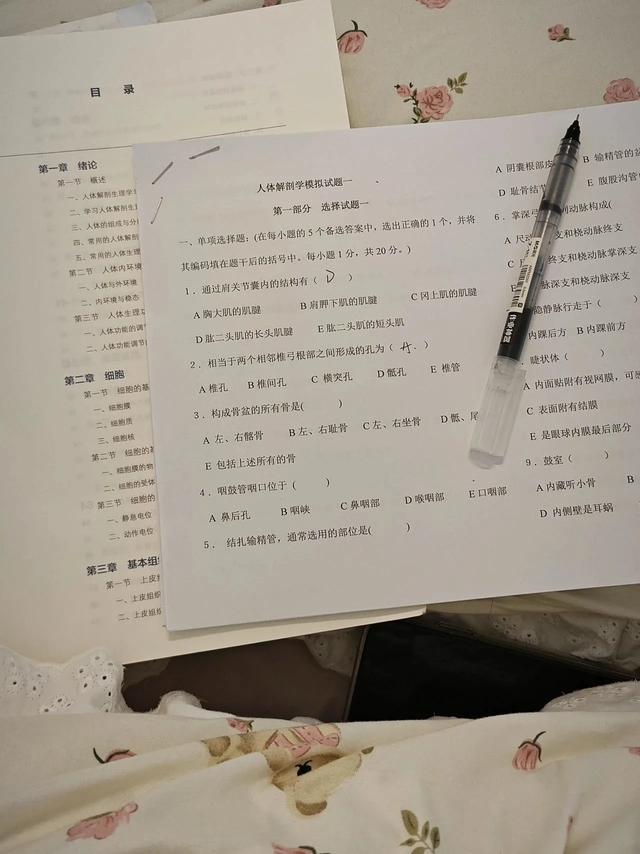 大学生暑假不荒废指南