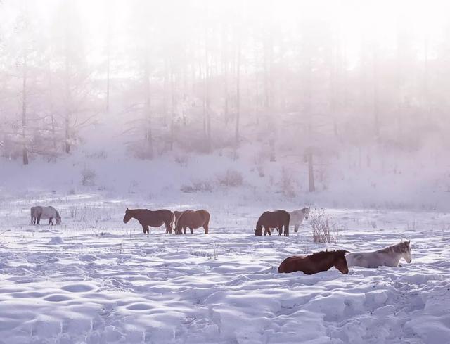 不出国看绝美雪景！国内这八个地方让你惊艳整个冬天