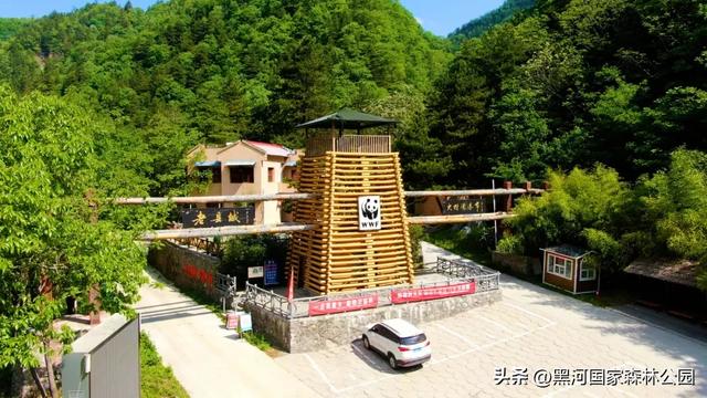 西安“热情”上热搜？么事！黑河国家森林公园让你感受山间清凉一“夏”