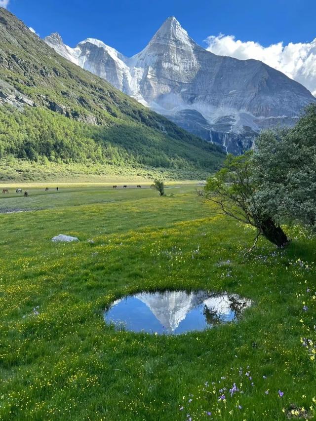 四川第一大行政区揭晓，抵23.6个上海，74.9个深圳！